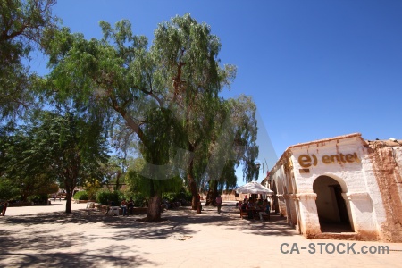 Building tree sky san pedro de atacama south america.