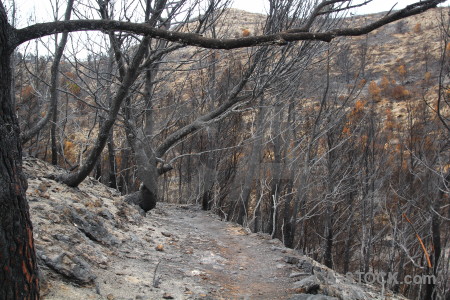 Burnt ash spain javea montgo fire.