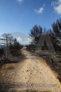 Burnt javea spain montgo fire ash.
