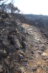 Burnt javea tree rock europe.