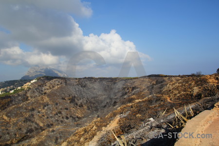 Burnt spain montgo fire tree europe.