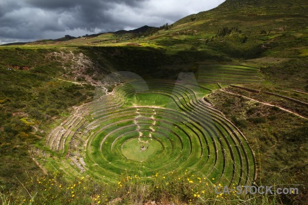 Bush andes peru altitude inca.