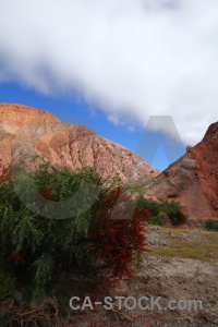 Bush cliff rock cerro de los siete colores landscape.