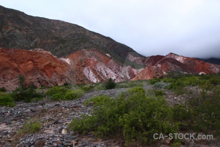 Bush mountain salta tour south america purmamarca.