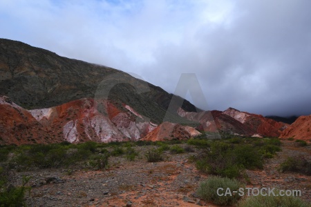 Bush rock argentina purmamarca cerro de los siete colores.