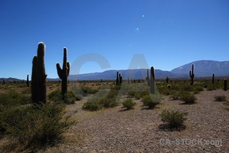 Bush sky salta tour 2 landscape mountain.