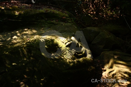 Cambodia carving rock kbal spean southeast asia.