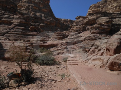 Carving historic nabataeans middle east unesco.