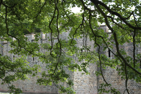 Castle building green.