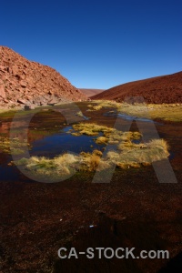 Chile south america sky pond weed andes.