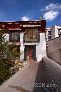 China buddhist asia tree monastery.