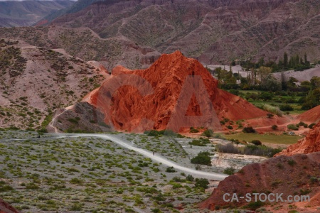 Cliff landscape purmamarca argentina tree.