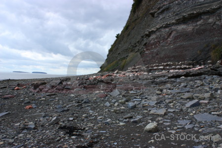 Cliff rock coast.