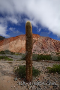 Cliff salta tour argentina purmamarca south america.