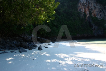 Cliff tree limestone yong kasem bay rock.