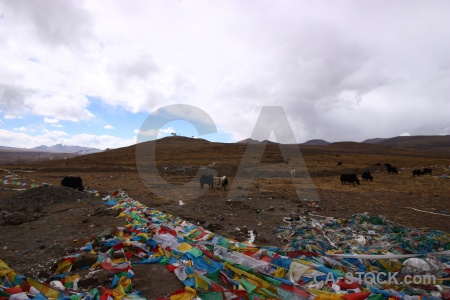 Cloud east asia buddhism himalayan arid.