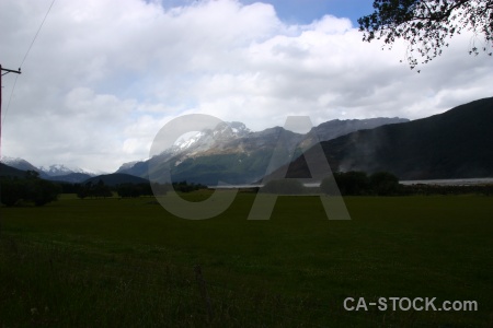 Cloud field tree grass south island.