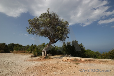 Cloud javea spain plant sky.