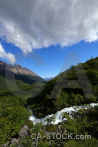 Cloud landscape el chalten tree patagonia.