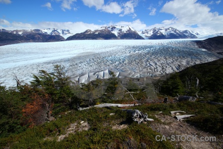 Cloud patagonia tree chile mountain.