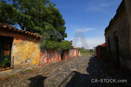 Cloud sky building colonia del sacramento tree.