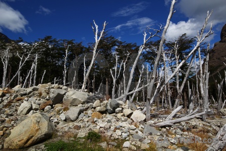 Cloud torres del paine south america dead sky.