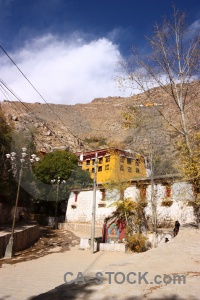 Cloud tree tibet asia sky.