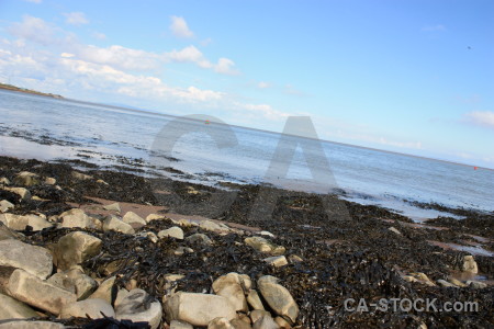Coast seaweed landscape rock.
