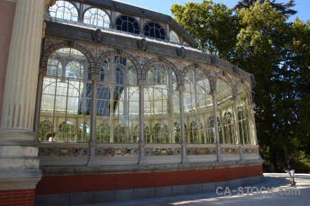 Crystal palace tree window building glass.