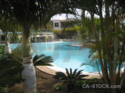 Cyan pool water.