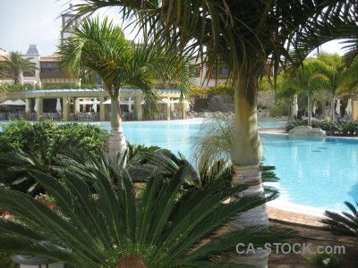Cyan pool water green.