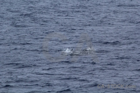 Day 4 water drake passage antarctica cruise sea.