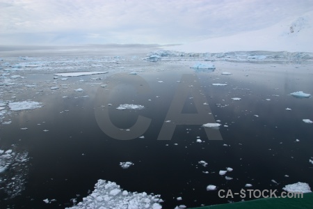 Day 6 water antarctic peninsula reflection sea ice.