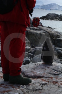 Day 8 leg boot antarctica cruise.