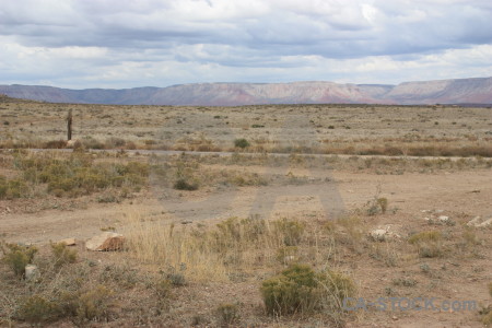 Desert landscape.