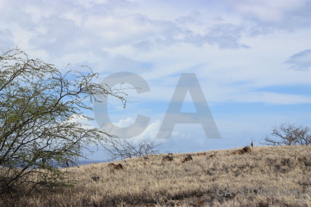 Desert landscape white.