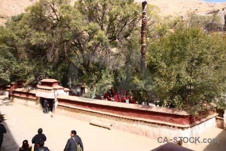 Dhonka tibet monastery tree sera.