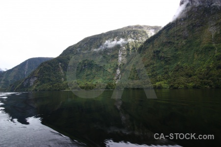 Doubtful sound tree landscape sky fiord.