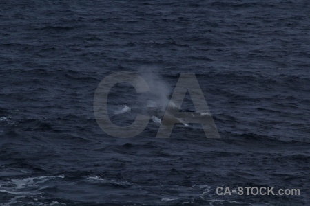 Drake passage sea water day 4 spray.