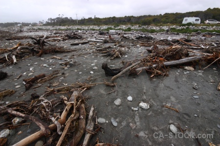 Drift wood south island cloud west coast sand.