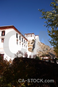 East asia potala palace tree unesco buddhist.