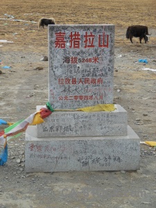 East asia tibet himalayan arid gyatchula.