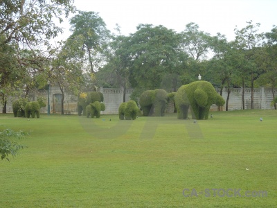 Elephant thailand sky grass southeast asia.