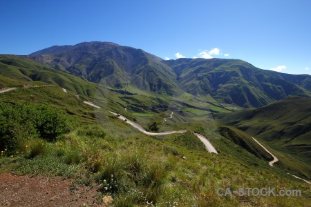 Escoipe quebrada de escoipe calchaqui valley south america grass.