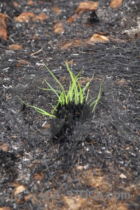 Europe burnt javea ash montgo fire.