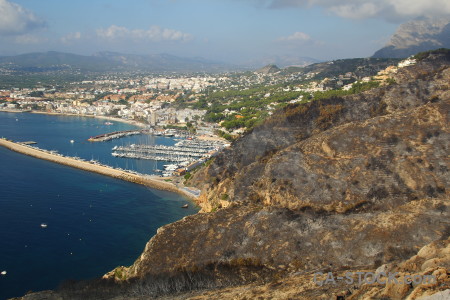 Europe javea tree burnt spain.