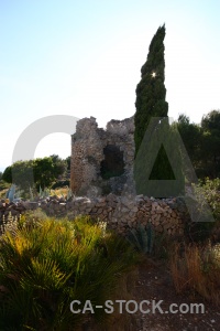 Europe molins javea tree sky.