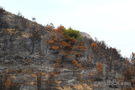 Europe montgo fire javea ash burnt.