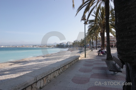 Europe palm tree sky javea beach.