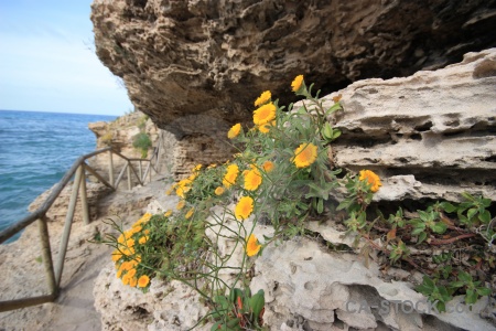 Europe rock railing javea spain.